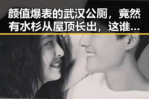 颜值爆表的武汉公厕，竟然有水杉从屋顶长出，这谁看了不说一句离谱？