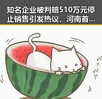知名企业被判赔510万元停止销售引发热议,河南首批典型案例展示行业监管新动向