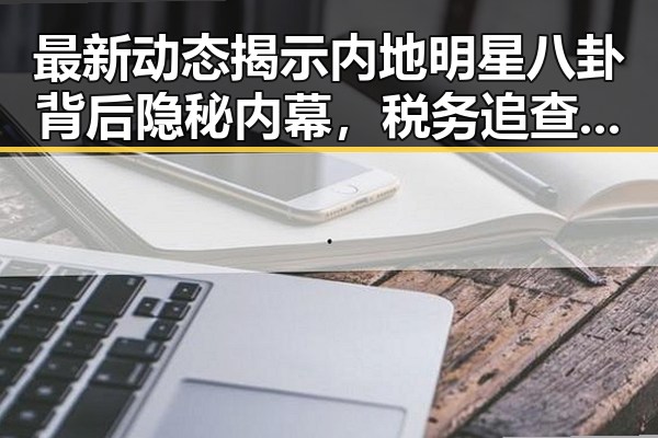 最新动态揭示内地明星八卦背后隐秘内幕，税务追查与国际通行许可新变